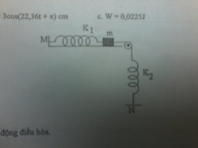 IMG_20150807_224916.jpg IMG_20150807_224916.jpg