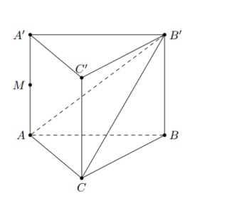 image17.png image17.png