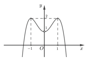 image1.png image1.png