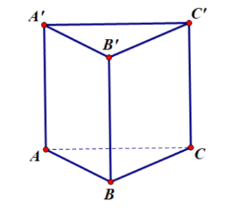 image8.png image8.png