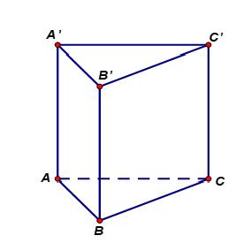 image6.png image6.png