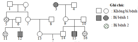 image1.png image1.png