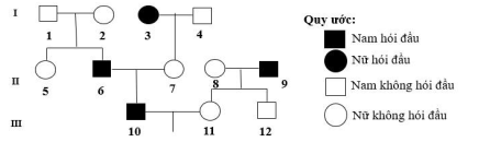 image3.png image3.png