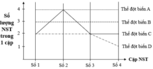 image1.png image1.png