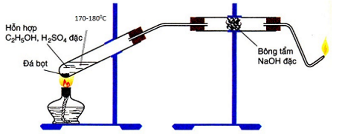 image1.png image1.png