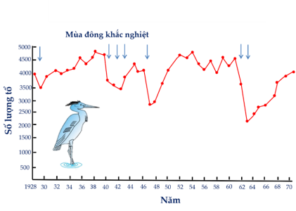 image3.png image3.png