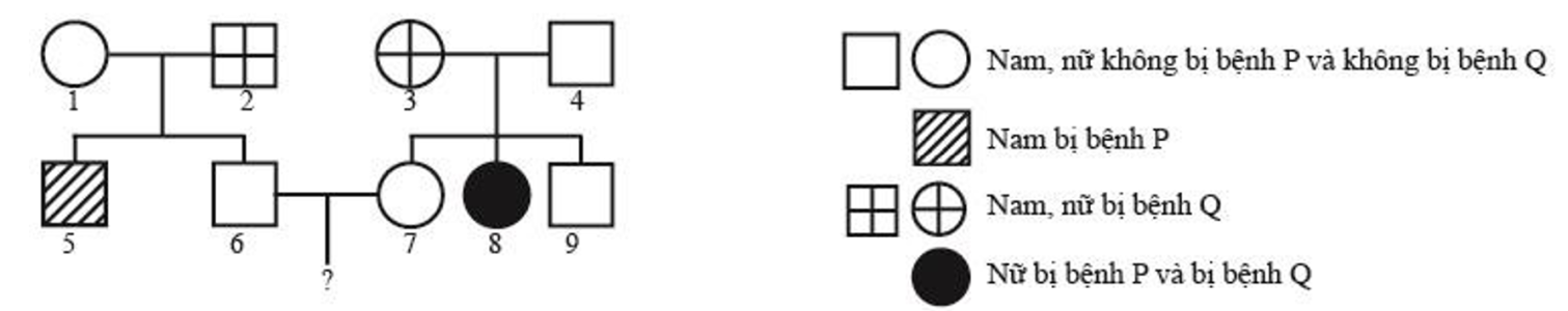 image5.png image5.png