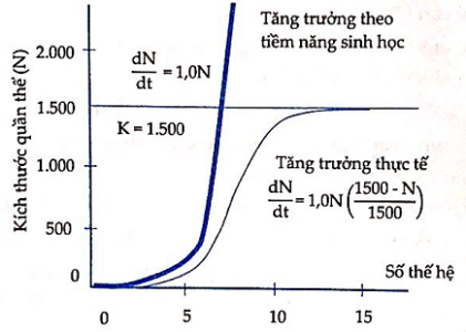 image2.png image2.png