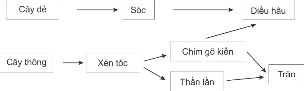 image3.jpg image3.jpg