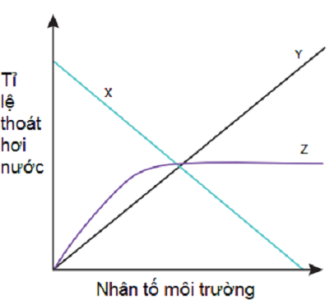 image1.png image1.png