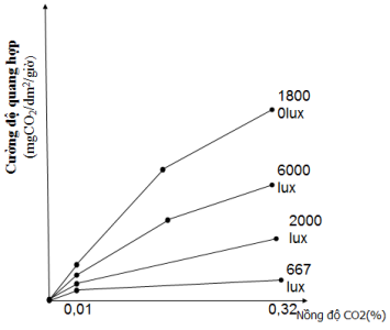 image2.png image2.png