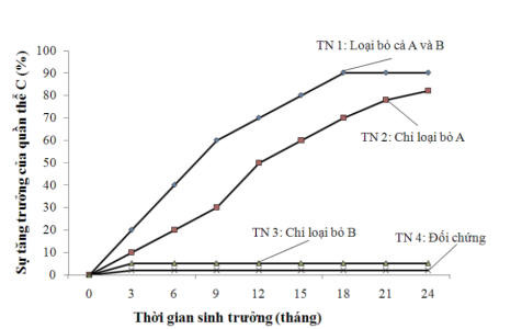 image3.png image3.png