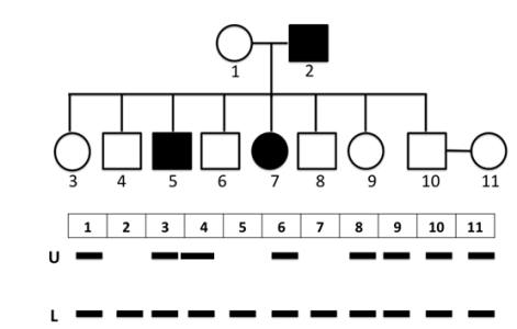 image7.png image7.png