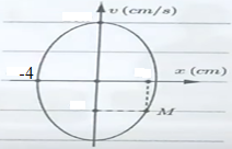 image4.png image4.png