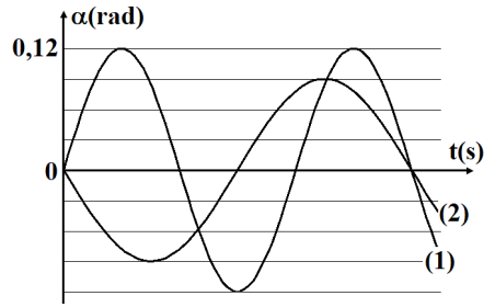 image12.png image12.png