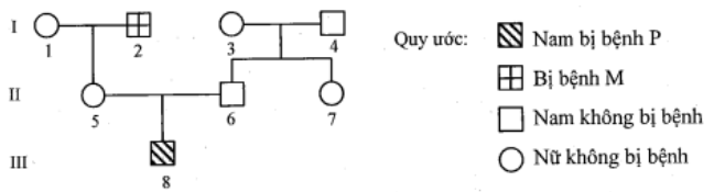 image1.png image1.png