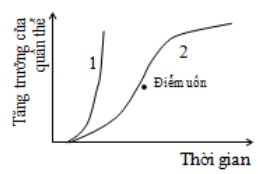 image3.png image3.png