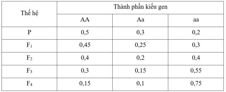image4.png image4.png