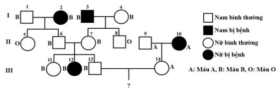 image1.png image1.png