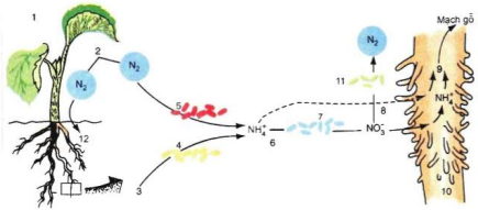 image1.png image1.png