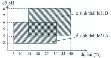 image3.png image3.png