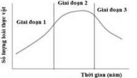 image2.png image2.png