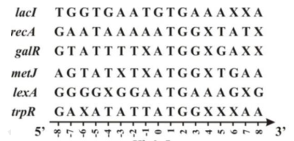 image4.png image4.png