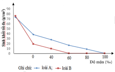 image5.png image5.png