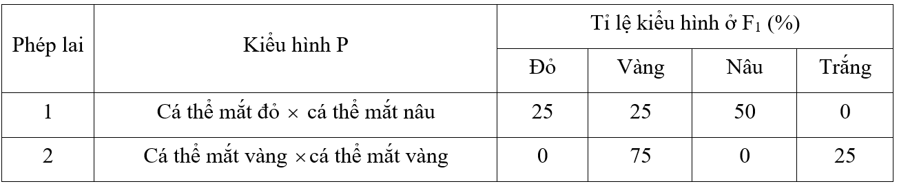 image2.png image2.png