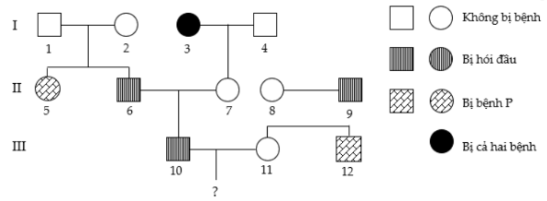 image3.png image3.png