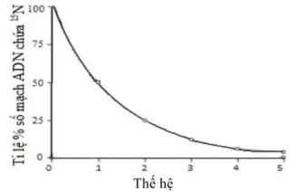 image5.png image5.png