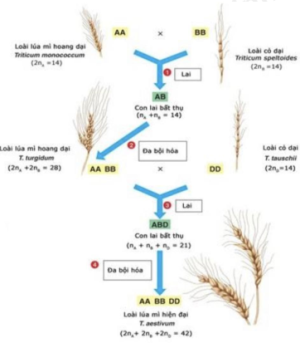 image1.png image1.png