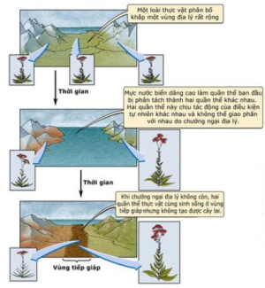 image2.png image2.png