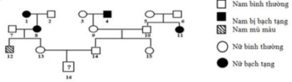 image1.png image1.png