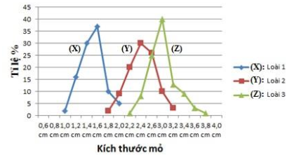 image2.png image2.png