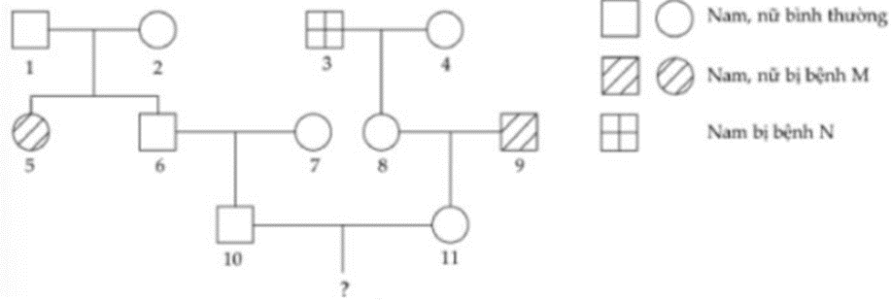 1686711603586.png 1686711603586.png