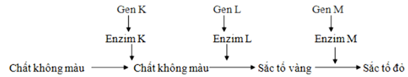 1686714159022.png 1686714159022.png