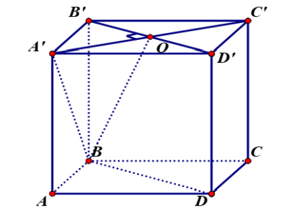 image7.png image7.png