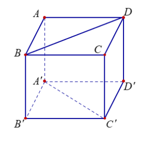 image6.png image6.png