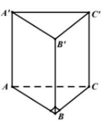 image1.png image1.png