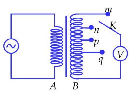 image1.jpg image1.jpg