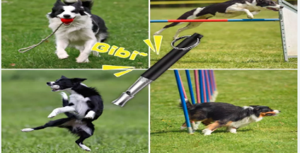 image2.png image2.png