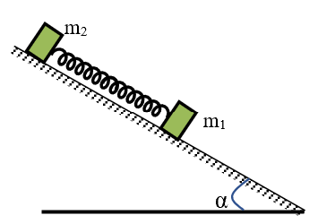 image2.png image2.png