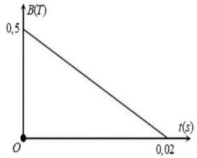 image2.jpg image2.jpg