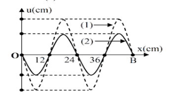 image6.png image6.png
