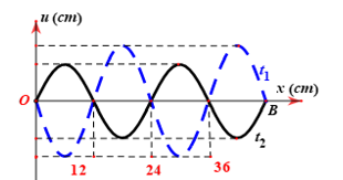 image3.png image3.png