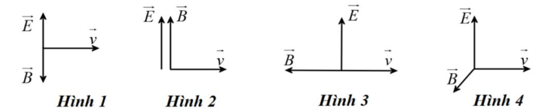 image1.png image1.png