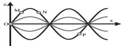 image1.png image1.png