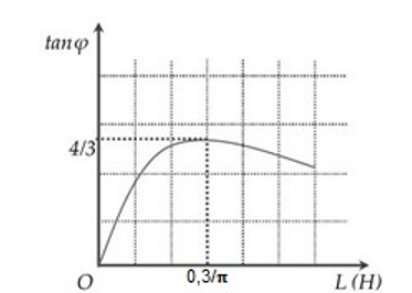 image2.png image2.png