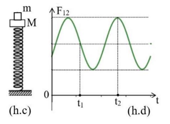 image5.png image5.png